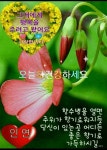 건강정보ㅡ오늘의 건강상식ㅡ알기쉽게 정리된ㅡ의학정보ㅡ감기는... - 경운아에 사랑방 - 서울산이조아 건강정보ㅡ오늘의 건강상식ㅡ알기쉽게... 