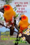 봄이오면ㅡ김 윤아 노래ㅡ아름다운 봄꽃 이미지ㅡ 가사첨부 합니다ㅡ ㅡ - 영상 가요 팝 방 - 서울산이조아 봄이오면ㅡ김 윤아 노래ㅡ아름다운... 