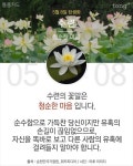 당신이 태어난 날엔ㅡ4월 ~6월ㅡ무슨 꽃이 피었나요?2ㅡ 태어난달과... 날엔ㅡ4월 ~6월ㅡ무슨 꽃이 피었나요?2ㅡ 태어난달과 날자ㅡ날자별 탄생화... 