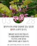 당신이 태어난 날엔ㅡ1월 ~3월 ㅡ무슨 꽃이 피었나요?1ㅡ태어난달과... 날엔ㅡ1월 ~3월 ㅡ무슨 꽃이 피었나요?1ㅡ태어난달과 날자ㅡ날자별 탄생화... 