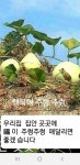 아빠왜거기서나와 ㅡ초딩 딸과 아빠ㅡ귀엽게 노래화는 ㅡ영상 입니다ㅡ - 영상 가요 팝 방 - 서울산이조아 아빠왜거기서나와 ㅡ초딩 딸과... 