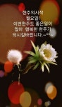 청춘의봄ㅡ 명국환 노래ㅡ아름다운 영상 글ㅡ이미지 영상입니다ㅡ... 청춘의봄ㅡ 명국환 노래ㅡ아름다운 영상 글ㅡ이미지 영상입니다ㅡ