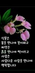 아무리 백세를 살아도ㅡ건강이 없으면 괴로운 ㅡ삶이 됩니다ㅡ아름다운 꽃 이미지ㅡ - ○ 아름다운/이미지 - 서울산이조아 아무리 백세를... 