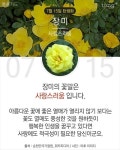 당신이 태어난 날엔ㅡ7월 ~9월ㅡ무슨 꽃이 피었나요?3 ㅡ태어난 달과... 날엔ㅡ7월 ~9월ㅡ무슨 꽃이 피었나요?3 ㅡ태어난 달과 날자ㅡ날자별... 