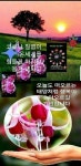 2021년 삼복ㅡ초복 7월11일ㅡ중복 7월 21일ㅡ말복 8월10일ㅡ - ○ 아름다운/이미지 - 서울산이조아 2021년 삼복ㅡ초복 7월11일ㅡ중복... 