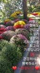 ㅡ 당신은 소중한 인연 입니다ㅡ - 영상 가요 팝 방 - 서울산이조아... 해줘요 ㅡ김 수희노래ㅡ아름 다운 단풍 영상 ㅡ 당신은 소중한 인연 입니다ㅡ