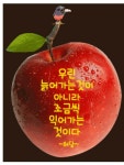 아무리 백세를 살아도ㅡ건강이 없으면 괴로운 ㅡ삶이 됩니다ㅡ아름다운 꽃 이미지ㅡ - ○ 아름다운/이미지 - 서울산이조아 아무리 백세를... 