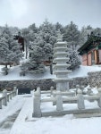 에파타성전조아 | 태백산 장군봉 1567mㅡ천제단 1560m ㅡ망경사 ㅡ장군바위ㅡ단군성전 ㅡ당골계곡 - 청솔 .경운아 산행 일기 - 서울산이조아 태백산 장군봉...