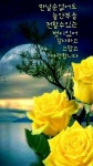 님의 등불ㅡ진성노래ㅡ고운인연 감사합니다ㅡ살아가면서 우리에게 ㅡ도움되는 좋은글ㅡ - 영상 가요 팝 방 - 서울산이조아 님의... 
