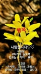 아무리 백세를 살아도ㅡ건강이 없으면 괴로운 ㅡ삶이 됩니다ㅡ아름다운 꽃 이미지ㅡ - ○ 아름다운/이미지 - 서울산이조아 아무리 백세를... 
