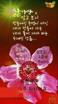 못잊을사랑 ㅡ정의송 노래ㅡ 아름다운ㅡ제주도 영상입니다ㅡ - 영상 가요 팝 방 - 서울산이조아 못잊을사랑 ㅡ정의송 노래ㅡ 아름다운ㅡ제주도... 