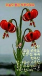 오늘도 좋은 하루 되세요 - ○ 아름다운/이미지 - 서울산이조아 오늘도 좋은 하루 되세요