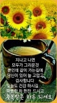 당신은 소중한 인연 입니다ㅡ - 영상 가요 팝 방 - 서울산이조아 11월의... ㅡ김 수희노래ㅡ아름 다운 단풍 영상 ㅡ 당신은 소중한 인연 입니다ㅡ