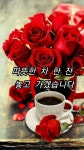 남남으로 만나서 ㅡ김종환 노래ㅡ아름다운ㅡ길 풍경,이미지ㅡ - 영상 가요 팝 방 - 서울산이조아 남남으로 만나서 ㅡ김종환 노래ㅡ아름다운ㅡ길...