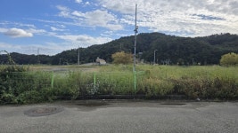 토지급매...경남 고성군 회화면 배둔 매립지내 급매 계획관리지역 토지 매매 - ♣ 토지 매물 - 경남고성미래공인중개사 토지급매...경남 고성군... 