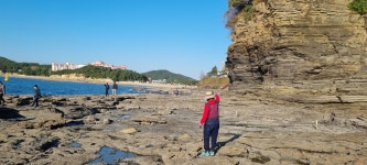 Foto hasil carian Naver 2