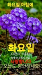 2025년7월1일,연중 제13주간 화요일,＜예수님께서 일어나셔서 바람과... 제13주간 화요일,＜예수님께서 일어나셔서 바람과 호수를 꾸짖으셨다.... 
