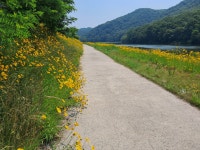 갑천 누리길 - 효산 산행기 - 효산 한국요산회 갑천 누리길