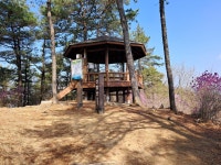 제 2,267회 산행 산장산 - 효산 산행기 - 효산 한국요산회 제 2,267회 산행 산장산