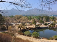 제 2,265회 산행 국립 대전현충원 보훈 둘레길 - 효산 산행기 - 효산 한국요산회 제 2,265회 산행 국립 대전현충원 보훈 둘레길