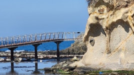 2025-5 호미반도 해안둘레길 - ♣ㅡ정기산행 공지 및 신청 - 대전 금빛산악회 2025-5 호미반도 해안둘레길