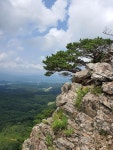 강원도 고성산~관대바위 - 산행포토 - 평해초등56회동기회 강원도 고성산~관대바위