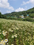 강원도 고성산~관대바위 - 산행포토 - 평해초등56회동기회 강원도 고성산~관대바위