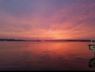 ＜경북*포항＞ 이준오 구룡포수산* 구룡포수협 107번 중매인의 집 대게,홍게,문어,백고동, 각종수산물,어패류 (8811) - ㅁ활어(55) - 활어차... 