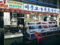 ＜경북*포항＞ 이준오 구룡포수산* 구룡포수협 107번 중매인의 집 대게,홍게,문어,백고동, 각종수산물,어패류 (8811) - ㅁ활어(55) - 활어차...