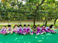 10월🍂가을 소풍🍐배 따러 다녀왔어요! - 토당 이야기 - 토끼와 당근 어린이집 10월🍂가을 소풍🍐배 따러 다녀왔어요!