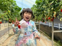 [4月🌈봄소풍🍓딸기수확] - 토당 이야기 - 토끼와 당근 어린이집 [4月🌈봄소풍🍓딸기수확]