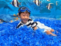 🐚🐚해변으로 가요.🐚🐚 - 강들반(만3세) - 토끼와 당근 어린이집 🐚🐚해변으로 가요.🐚🐚