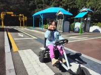 꿈나무 교통나라를 다녀왔어요🚗 - 하늘반(만4세) - 토끼와 당근 어린이집 꿈나무 교통나라를 다녀왔어요🚗