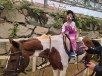 하늘반의 첫 승마체험🐎 - 하늘반(만4세) - 토끼와 당근 어린이집 하늘반의 첫 승마체험🐎