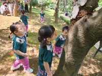 [숲 체험]내가 좋아하는 곤충🐝🐜 - 산들B반(만2세) - 토끼와 당근 어린이집 [숲 체험]내가 좋아하는 곤충🐝🐜