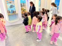 🚌꿈나무 교통나라🚌 - 강들반(만3세) - 토끼와 당근 어린이집 🚌꿈나무 교통나라🚌