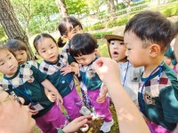 [숲 체험]내가 좋아하는 곤충🐝🐜 - 산들B반(만2세) - 토끼와 당근 어린이집 [숲 체험]내가 좋아하는 곤충🐝🐜