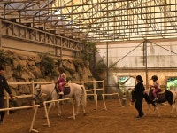 하늘반의 첫 승마체험🐎 - 하늘반(만4세) - 토끼와 당근 어린이집 하늘반의 첫 승마체험🐎