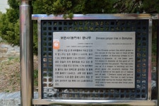 卍▶…제280차 2022년07월24일 정기산행 (강화 석모도 해명산 -보문사... (강화 석모도 해명산 -보문사-전등사)불교성지 4대관음기도도량 산행