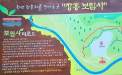 卍 ▶…제313차2025년3월23일 전남장흥 가지산 보림사 을년 안정산행 기원시산제 - 卍 ▶…정기산행(이달)산행 - 전북 룸비니불교산악회 卍... 