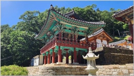 卍▶…제311차01월12일 신년산행(충남청양 칠갑산 장곡사) - 卍▶…산악회 공지사항 - 전북 룸비니불교산악회 卍▶…제311차01월12일... 
