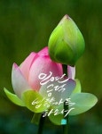 인연이란 그저 인연일 뿐 악연도 선연도 없습니다 - ▒▶…불자나눔쉼터 - 전북 룸비니불교산악회 인연이란 그저 인연일 뿐 악연도 선연도 없습니다