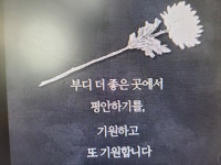 임동욱(비상맨)님 삼가 고인의 명복을 빕니다. - 자유게시판 - 시화호카이트서핑클럽 시화호카이트서핑클럽