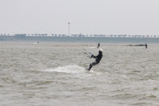 6월12일 - 카이트 앨범 - 시화호카이트서핑클럽 시화호카이트서핑클럽