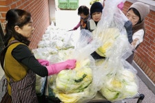 따뜻한 이웃을 위한 김장담그기(241129) - 특별행사 - 용봉동성당 따뜻한 이웃을 위한 김장담그기(241129)