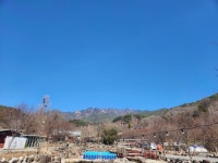 소리길 벚꽃캠은... - 소리길 실시간 게시판 - 소리길 오토캠핑장 소리길 벚꽃캠은...