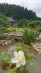 삼광사 초복 향기 - 삼광사에서는... - 광양 삼광사 삼광사 초복 향기
