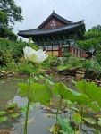 삼광사 초복 향기 - 삼광사에서는... - 광양 삼광사 삼광사 초복 향기