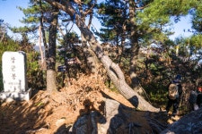 제830차 거창 우두산(고견사 주차장~고견사~쌀굴~우두산~의상봉~지남산~장군봉~바리봉~고견사 주차장) - 카페 앨범 - 수목산악회06 제830차 거창... 