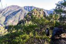 제830차 거창 우두산(고견사 주차장~고견사~쌀굴~우두산~의상봉~지남산~장군봉~바리봉~고견사 주차장) - 카페 앨범 - 수목산악회06 제830차 거창... 